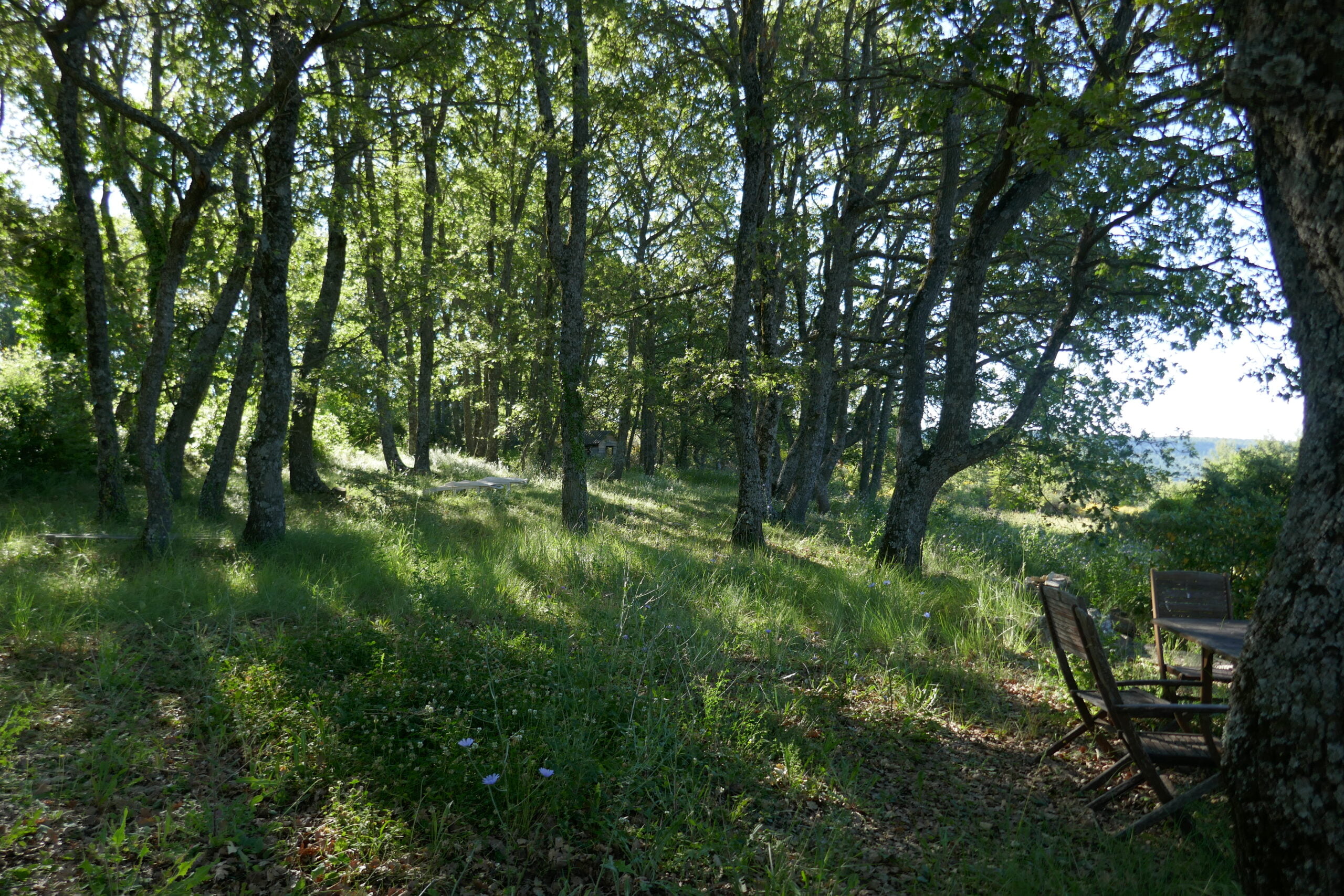 La chênaie